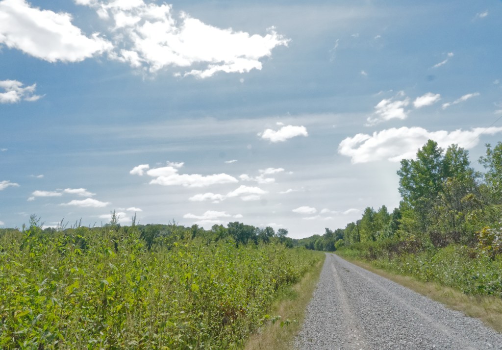 A gravel road leads off through a green field full of plants, trees, with a partly cloudy, steel grey sky above