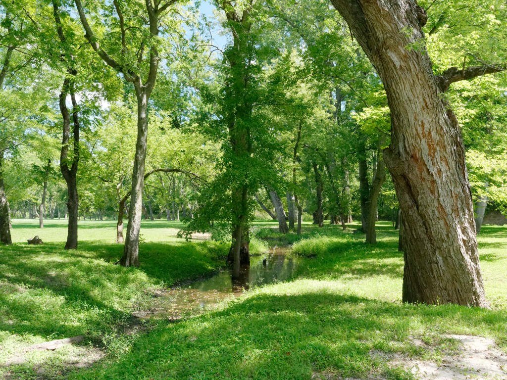 A pleasant peaceful scene of trees towering over a small creek at the Haun's Mill site.